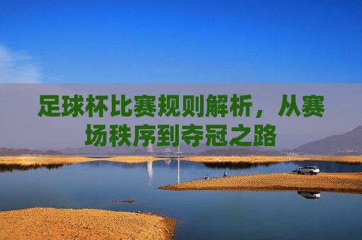 足球杯比赛规则解析，从赛场秩序到夺冠之路