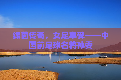 绿茵传奇，女足丰碑——中国前足球名将孙雯