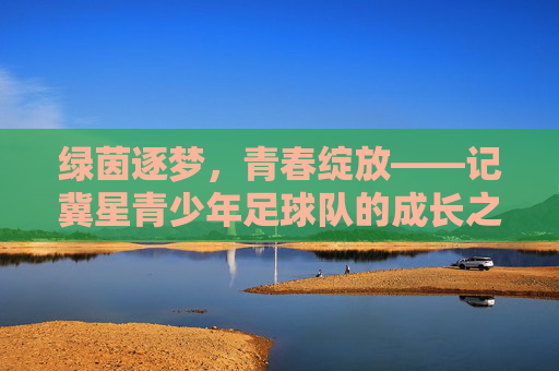 绿茵逐梦，青春绽放——记冀星青少年足球队的成长之路