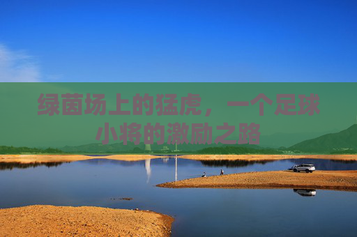 绿茵场上的猛虎,一个足球小将的激励之路 绿茵场上的猛虎,一个足球小将的激励之路