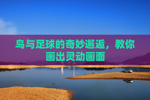 鸟与足球的奇妙邂逅,教你画出灵动画面 鸟与足球的奇妙邂逅,教你画出灵动画面