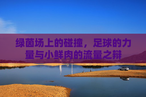 绿茵场上的碰撞，足球的力量与小鲜肉的流量之辩