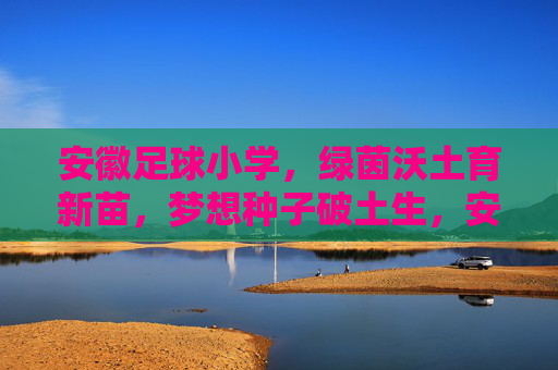 安徽足球小学，绿茵沃土育新苗，梦想种子破土生，安徽足球小学，绿茵沃土育新苗，梦想破土生