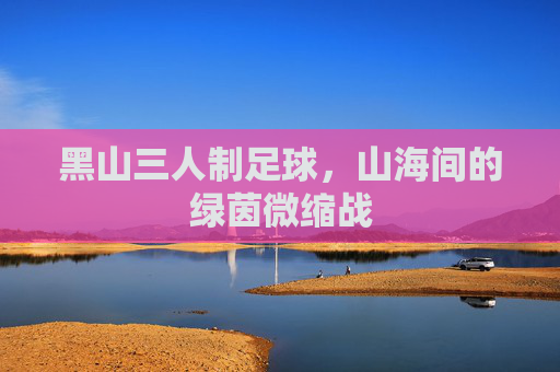 黑山三人制足球,山海间的绿茵微缩战 黑山三人制足球,山海间的绿茵微缩战