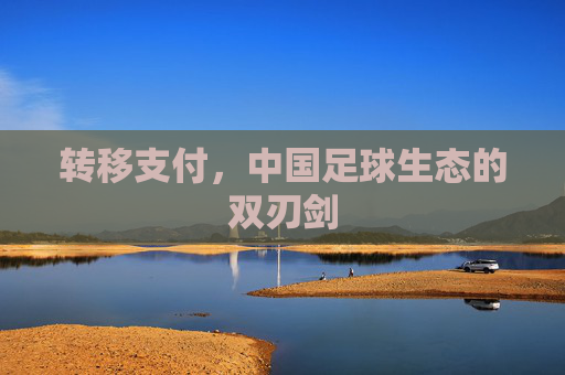 转移支付,中国足球生态的双刃剑 转移支付,中国足球生态的双刃剑