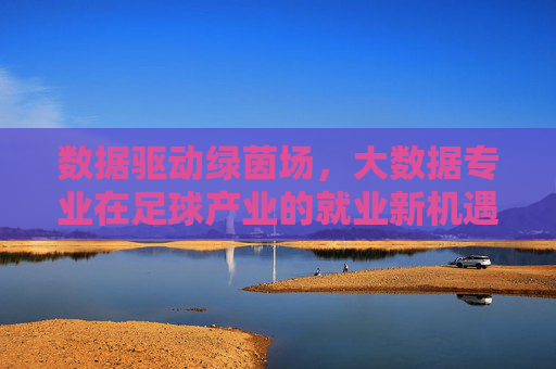 数据驱动绿茵场，大数据专业在足球产业的就业新机遇，数据驱动绿茵场，大数据专业的足球产业就业新机遇