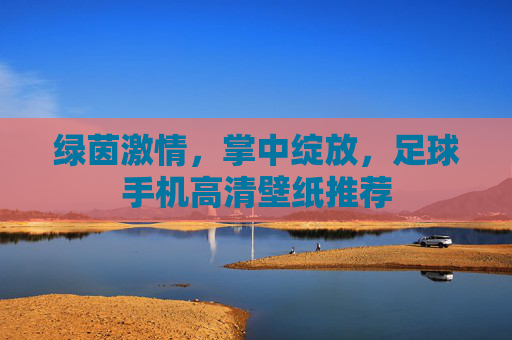 绿茵激情，掌中绽放，足球手机高清壁纸推荐