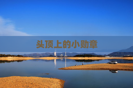 头顶上的小勋章