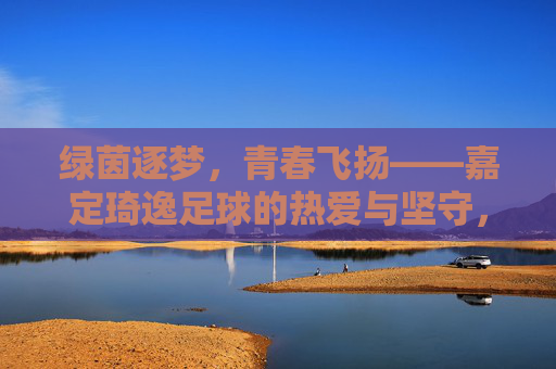 绿茵逐梦,青春飞扬——嘉定琦逸足球的热爱与坚守,绿茵逐梦,青春坚守——嘉定琦逸足球的热爱 绿茵逐梦,青春飞扬——嘉定琦逸足球的热爱与坚守,绿茵逐梦,青春坚守——嘉定琦逸足球的热爱