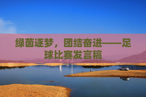 绿茵逐梦，团结奋进——足球比赛发言稿