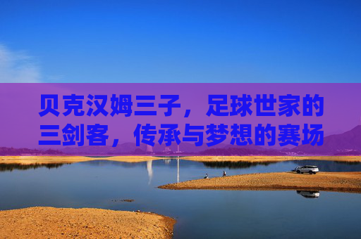 贝克汉姆三子，足球世家的三剑客，传承与梦想的赛场征途