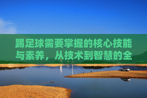 踢足球需要掌握的核心技能与素养,从技术到智慧的全面指南 踢足球需要掌握的核心技能与素养,从技术到智慧的全面指南