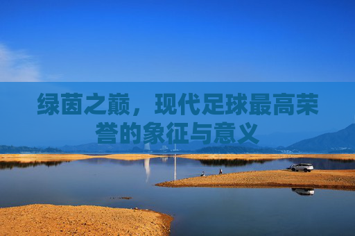 绿茵之巅，现代足球最高荣誉的象征与意义