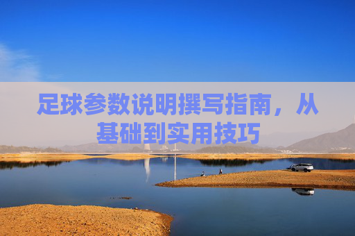 足球参数说明撰写指南,从基础到实用技巧 足球参数说明撰写指南,从基础到实用技巧