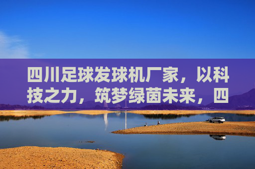 四川足球发球机厂家，以科技之力，筑梦绿茵未来，四川足球发球机厂家，科技筑梦绿茵未来