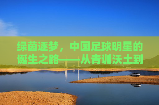 绿茵逐梦，中国足球明星的诞生之路——从青训沃土到世界舞台