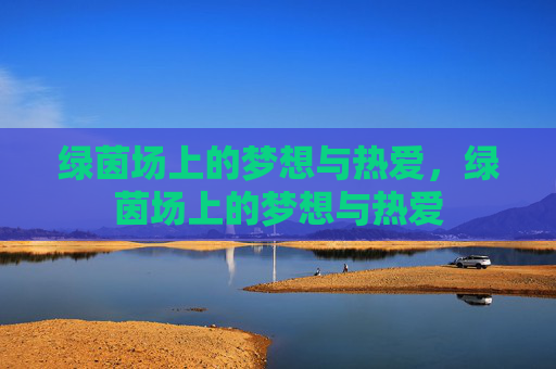 绿茵场上的梦想与热爱，绿茵场上的梦想与热爱