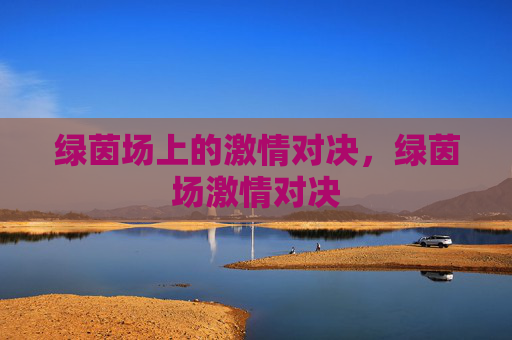 绿茵场上的激情对决，绿茵场激情对决