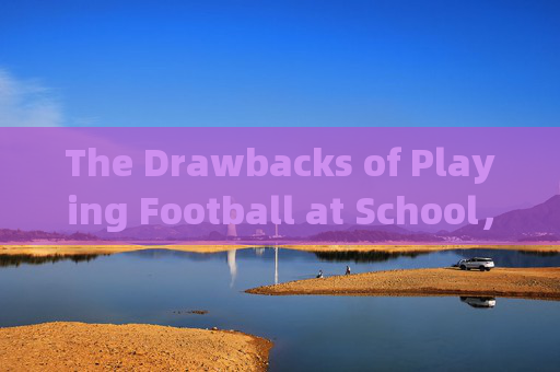 The Drawbacks of Playing Football at School，校园足球的弊端