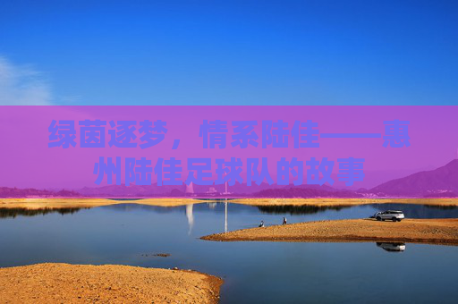 绿茵逐梦,情系陆佳——惠州陆佳足球队的故事 绿茵逐梦,情系陆佳——惠州陆佳足球队的故事
