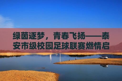 绿茵逐梦，青春飞扬——泰安市级校园足球联赛燃情启幕，泰安市级校园足球联赛燃情启幕，绿茵逐梦青春飞扬
