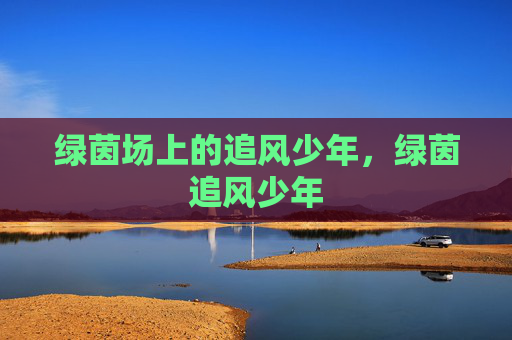 绿茵场上的追风少年，绿茵追风少年