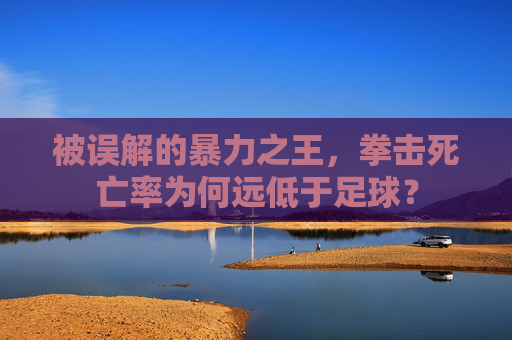 被误解的暴力之王,拳击死亡率为何远低于足球? 被误解的暴力之王,拳击死亡率为何远低于足球?