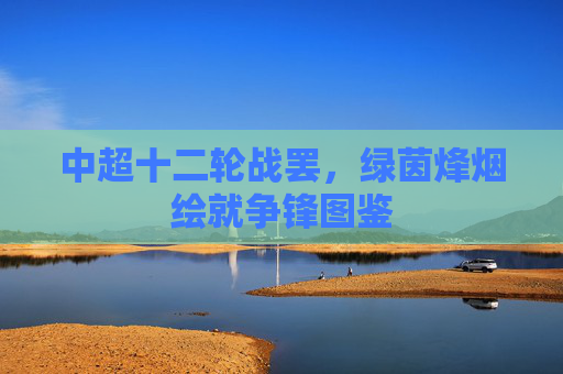 中超十二轮战罢，绿茵烽烟绘就争锋图鉴
