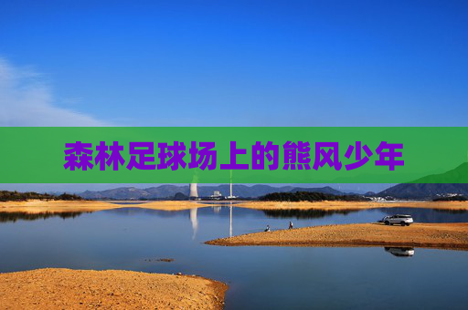 森林足球场上的熊风少年