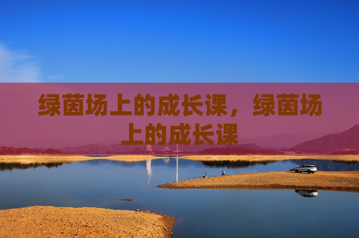 绿茵场上的成长课，绿茵场上的成长课