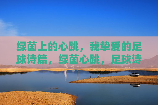 绿茵上的心跳，我挚爱的足球诗篇，绿茵心跳，足球诗篇