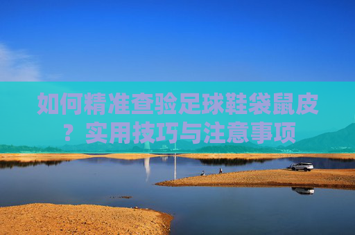 如何精准查验足球鞋袋鼠皮?实用技巧与注意事项 如何精准查验足球鞋袋鼠皮?实用技巧与注意事项