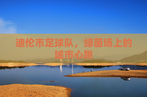迪伦市足球队,绿茵场上的城市心跳 迪伦市足球队,绿茵场上的城市心跳