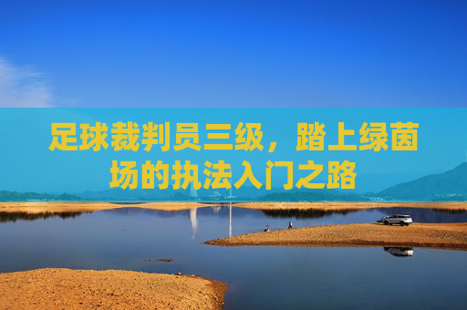 足球裁判员三级，踏上绿茵场的执法入门之路