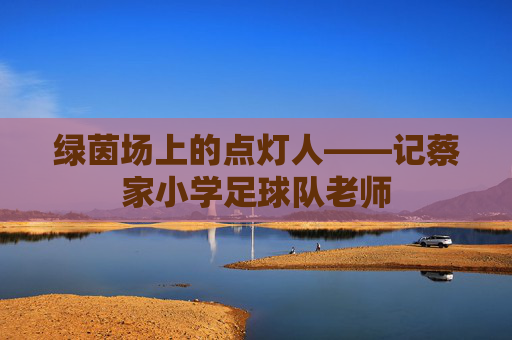 绿茵场上的点灯人——记蔡家小学足球队老师 绿茵场上的点灯人——记蔡家小学足球队老师