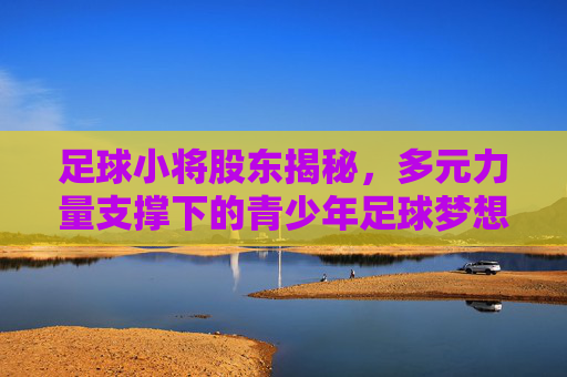 足球小将股东揭秘,多元力量支撑下的青少年足球梦想,足球小将股东多元力量支撑青少年足球梦想 足球小将股东揭秘,多元力量支撑下的青少年足球梦想,足球小将股东多元力量支撑青少年足球梦想