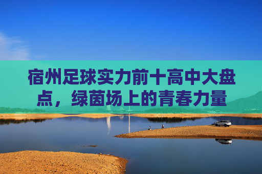 宿州足球实力前十高中大盘点,绿茵场上的青春力量 宿州足球实力前十高中大盘点,绿茵场上的青春力量