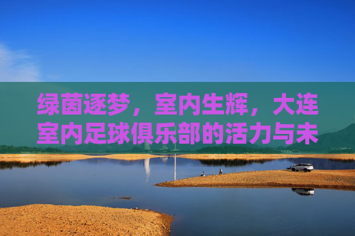 绿茵逐梦,室内生辉,大连室内足球俱乐部的活力与未来 绿茵逐梦,室内生辉,大连室内足球俱乐部的活力与未来