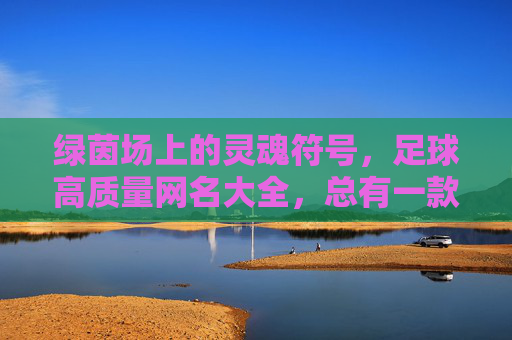 绿茵场上的灵魂符号，足球高质量网名大全，总有一款戳中你！绿茵场灵魂符号，足球高质量网名，总有一款戳中你