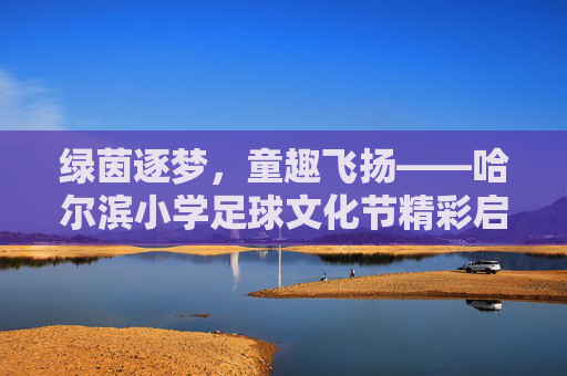 绿茵逐梦,童趣飞扬——哈尔滨小学足球文化节精彩启幕 绿茵逐梦,童趣飞扬——哈尔滨小学足球文化节精彩启幕