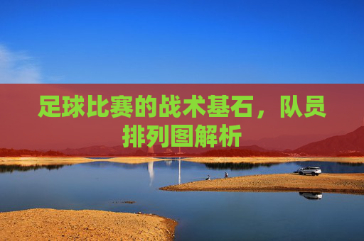 足球比赛的战术基石,队员排列图解析 足球比赛的战术基石,队员排列图解析