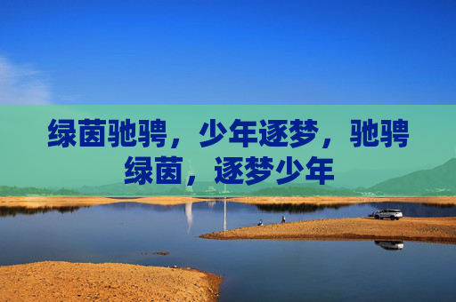 绿茵驰骋，少年逐梦，驰骋绿茵，逐梦少年