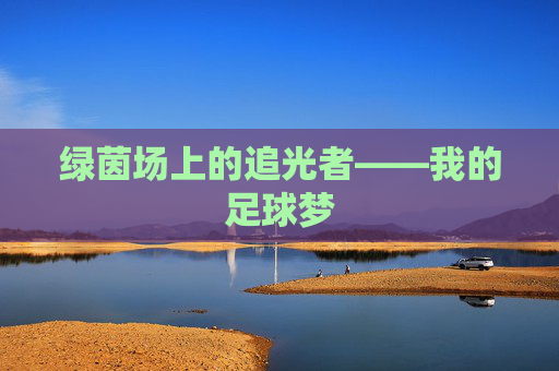 绿茵场上的追光者——我的足球梦 绿茵场上的追光者——我的足球梦