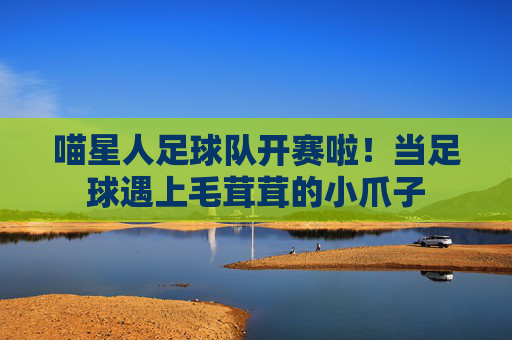 喵星人足球队开赛啦!当足球遇上毛茸茸的小爪子 喵星人足球队开赛啦!当足球遇上毛茸茸的小爪子
