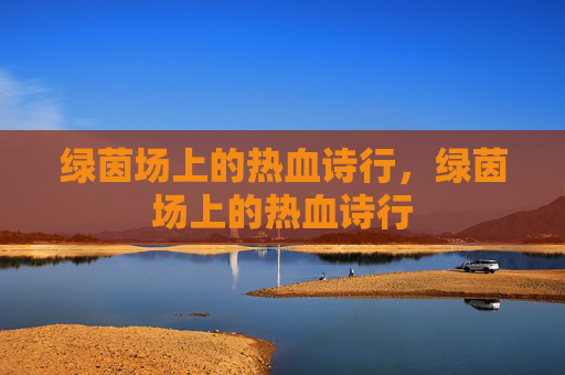 绿茵场上的热血诗行，绿茵场上的热血诗行