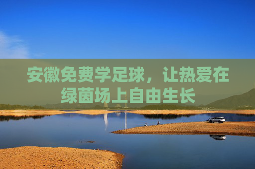 安徽免费学足球,让热爱在绿茵场上自由生长 安徽免费学足球,让热爱在绿茵场上自由生长