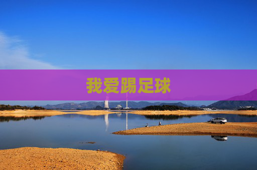 我爱踢足球 我爱踢足球