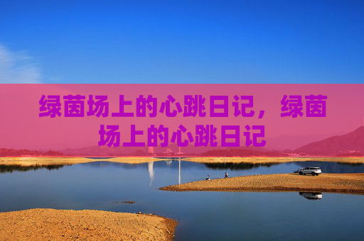 绿茵场上的心跳日记，绿茵场上的心跳日记