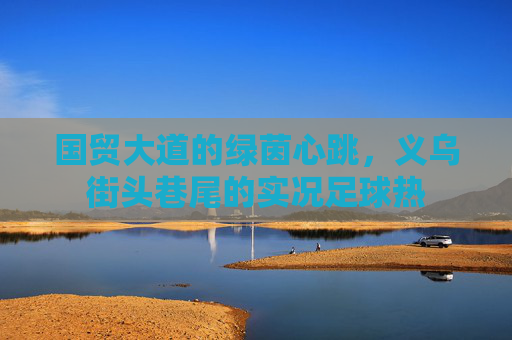 国贸大道的绿茵心跳，义乌街头巷尾的实况足球热