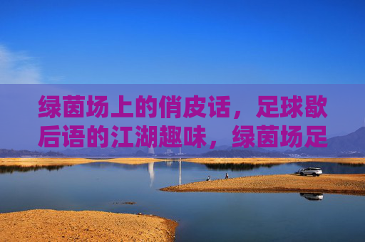 绿茵场上的俏皮话，足球歇后语的江湖趣味，绿茵场足球歇后语，江湖俏皮话